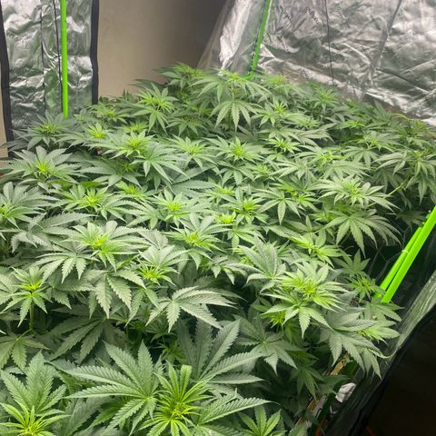 Baker bros  growlog timeline photo
