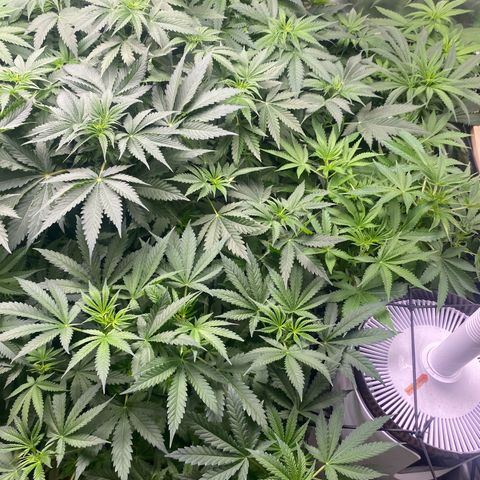 Baker bros  growlog timeline photo