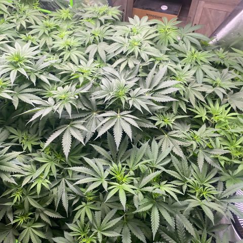 Baker bros  growlog timeline photo