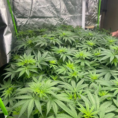 Baker bros  growlog timeline photo