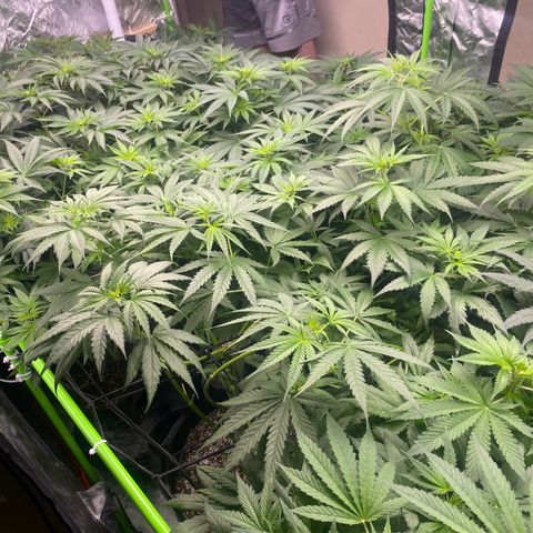 Baker bros  growlog timeline photo