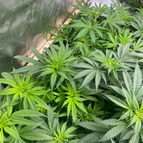 Baker bros  growlog timeline photo