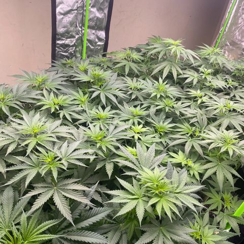 Baker bros  growlog timeline photo