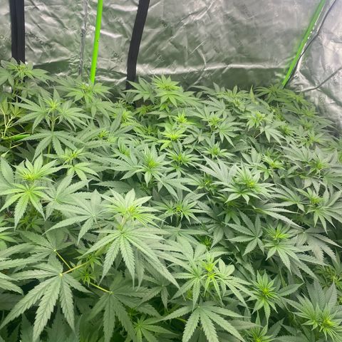 Baker bros  growlog timeline photo