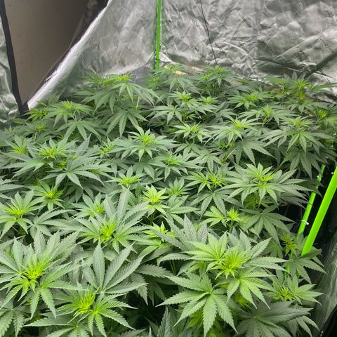 Baker bros  growlog timeline photo
