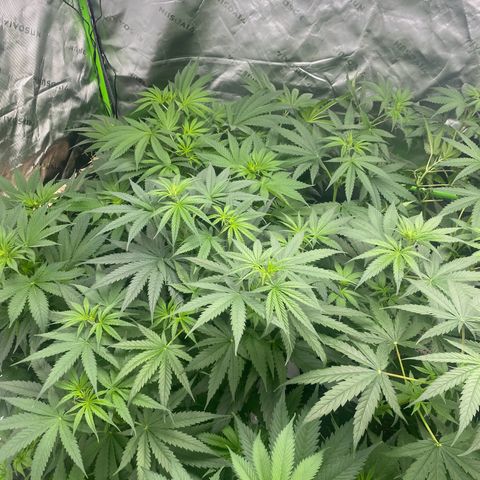 Baker bros  growlog timeline photo