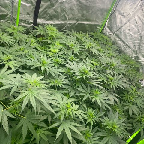 Baker bros  growlog timeline photo