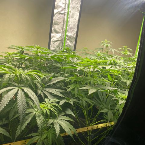 Baker bros  growlog timeline photo