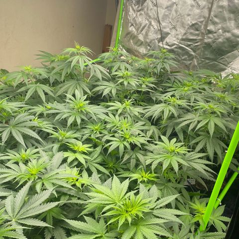 Baker bros  growlog timeline photo