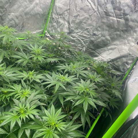 Baker bros  growlog timeline photo