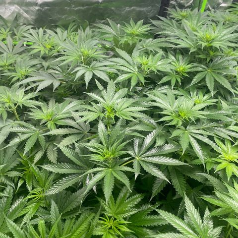 Baker bros  growlog timeline photo