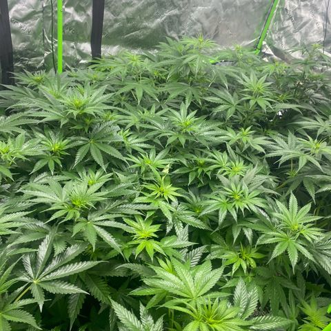 Baker bros  growlog timeline photo