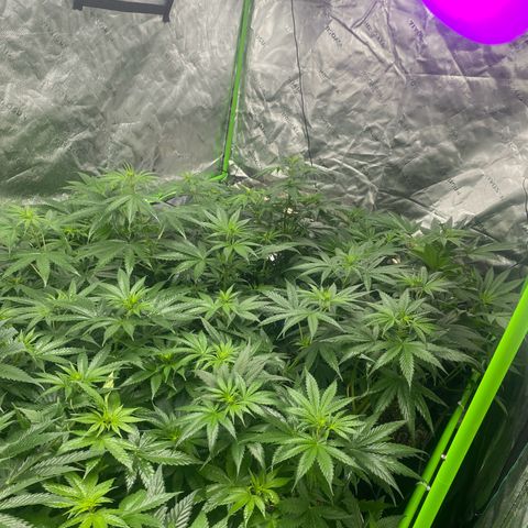 Baker bros  growlog timeline photo