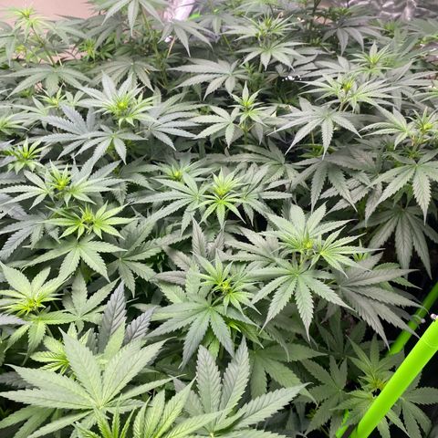 Baker bros  growlog timeline photo
