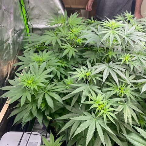 Baker bros  growlog timeline photo