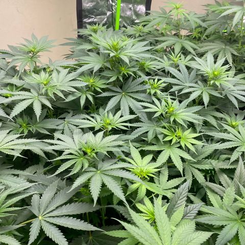 Baker bros  growlog timeline photo