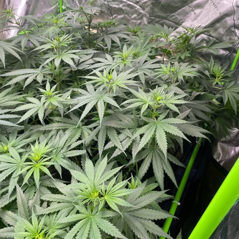 Baker bros  growlog timeline photo
