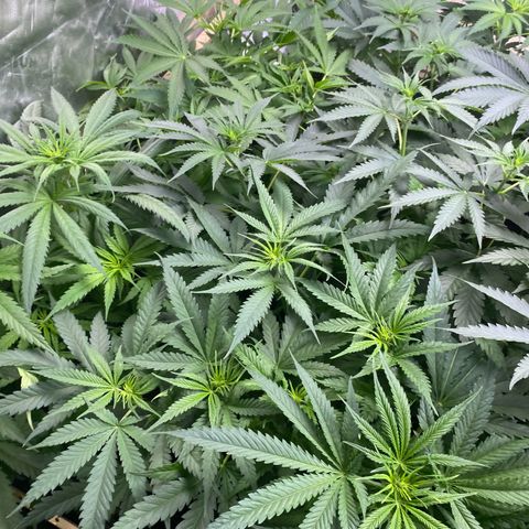 Baker bros  growlog timeline photo