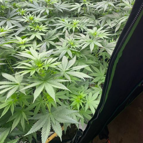 Baker bros  growlog timeline photo