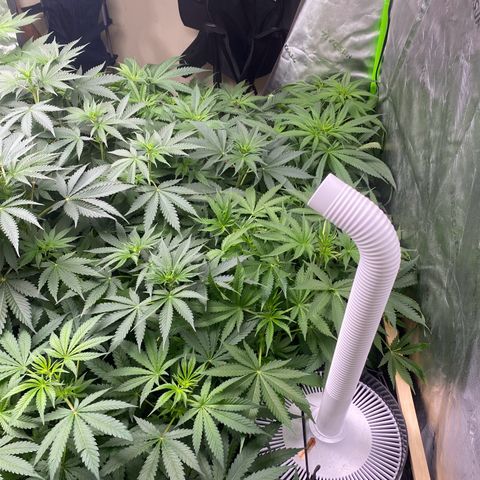 Baker bros  growlog timeline photo