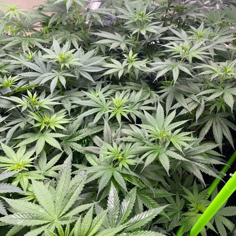 Baker bros  growlog timeline photo