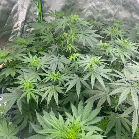 Baker bros  growlog timeline photo