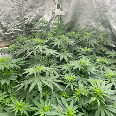 Baker bros  growlog timeline photo