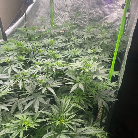 Baker bros  growlog timeline photo