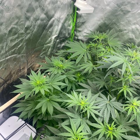 Baker bros  growlog timeline photo