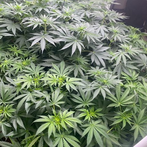 Baker bros  growlog timeline photo