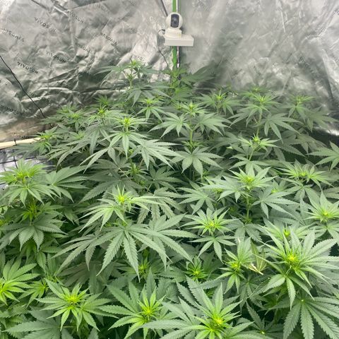 Baker bros  growlog timeline photo