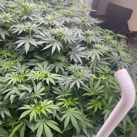 Baker bros  growlog timeline photo