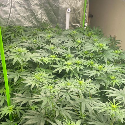 Baker bros  growlog timeline photo
