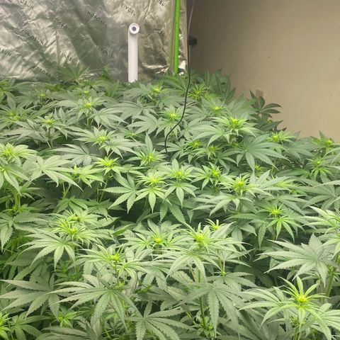Baker bros  growlog timeline photo