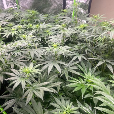Baker bros  growlog timeline photo