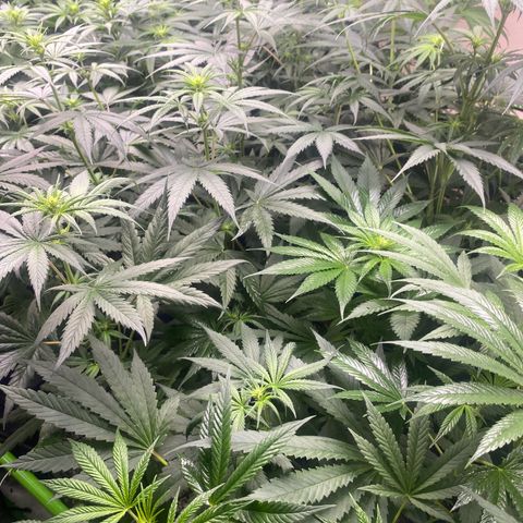 Baker bros  growlog timeline photo