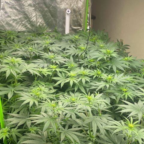 Baker bros  growlog timeline photo