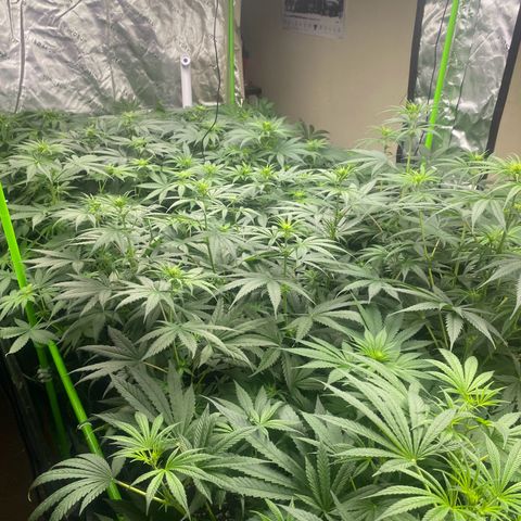 Baker bros  growlog timeline photo