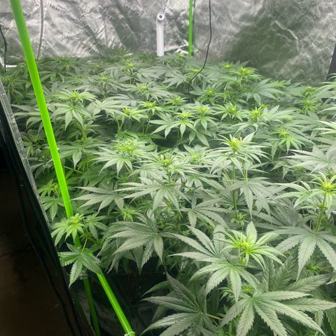 Baker bros  growlog timeline photo