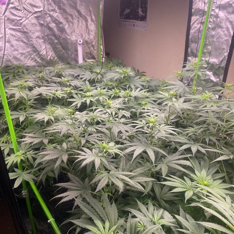 Baker bros  growlog timeline photo