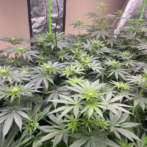 Baker bros  growlog timeline photo