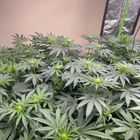 Baker bros  growlog timeline photo