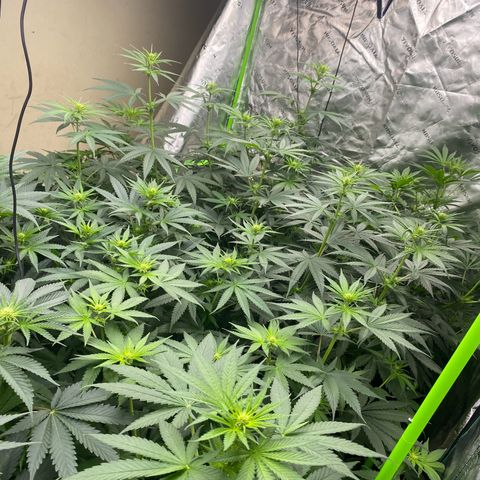Baker bros  growlog timeline photo