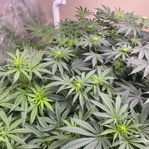Baker bros  growlog timeline photo