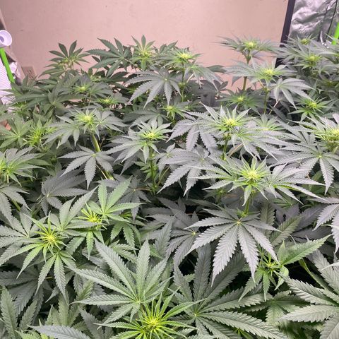 Baker bros  growlog timeline photo