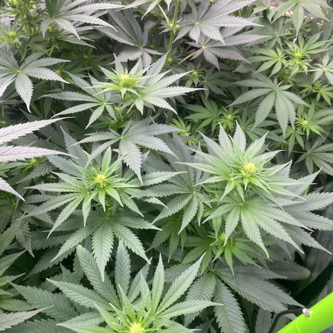 Baker bros  growlog timeline photo