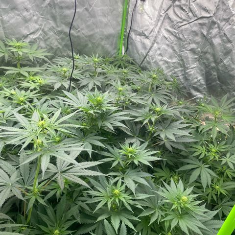 Baker bros  growlog timeline photo