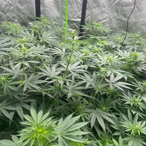 Baker bros  growlog timeline photo