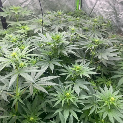 Baker bros  growlog timeline photo