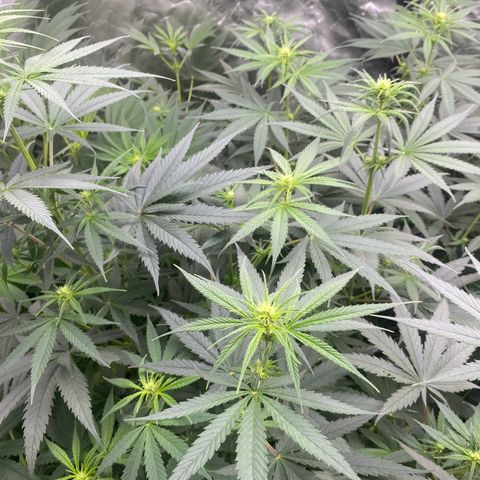 Baker bros  growlog timeline photo